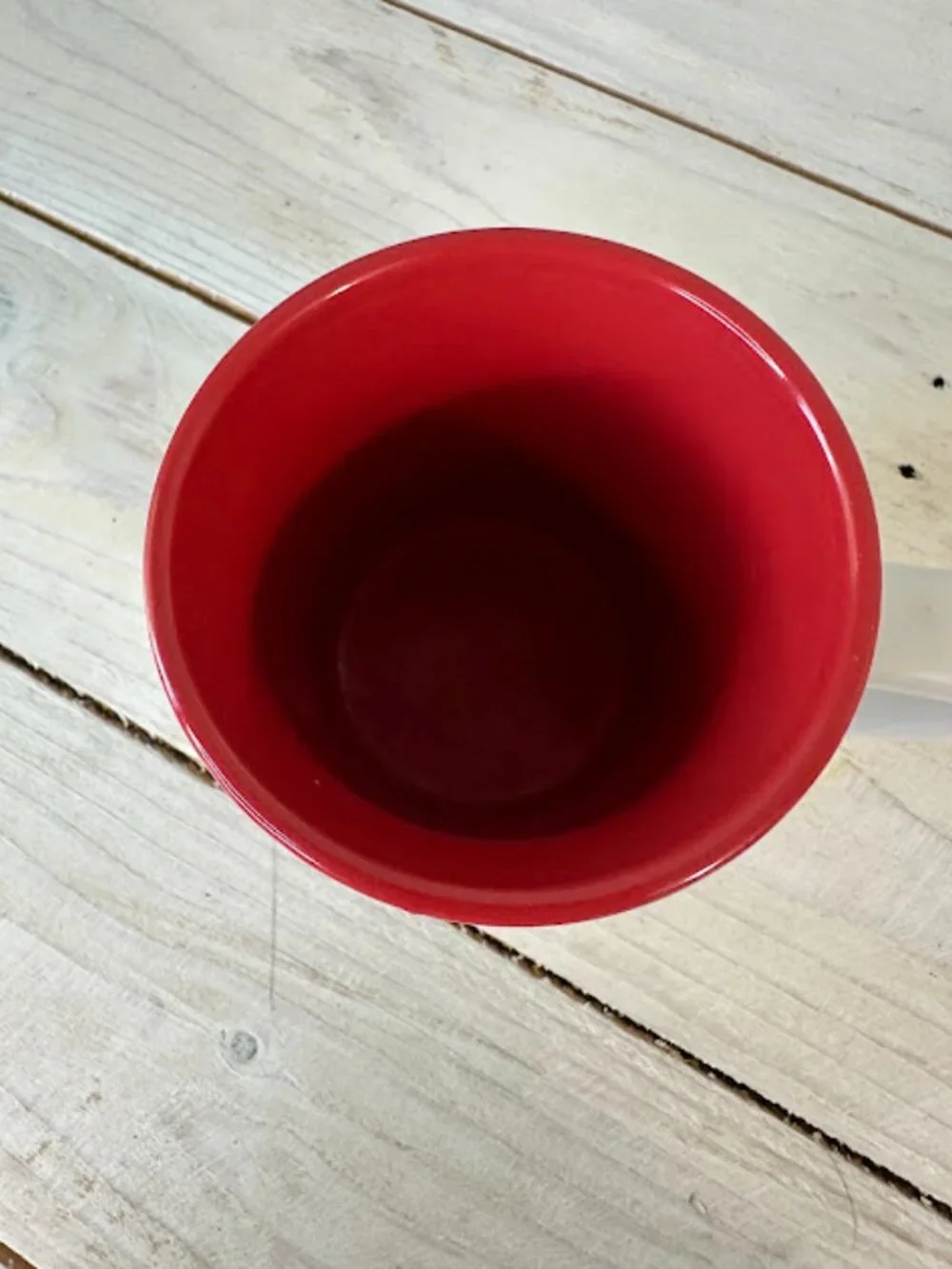 Starbucks 9 oz 2011 Holiday Christmas Holly Cup